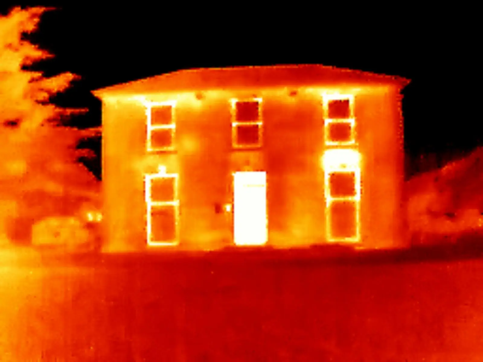 Thermal-camera scan of the same house — every sash-window frame and the front door outlined in white-hot, the brickwork cooler, showing heat escaping through the original single-glazed sashes