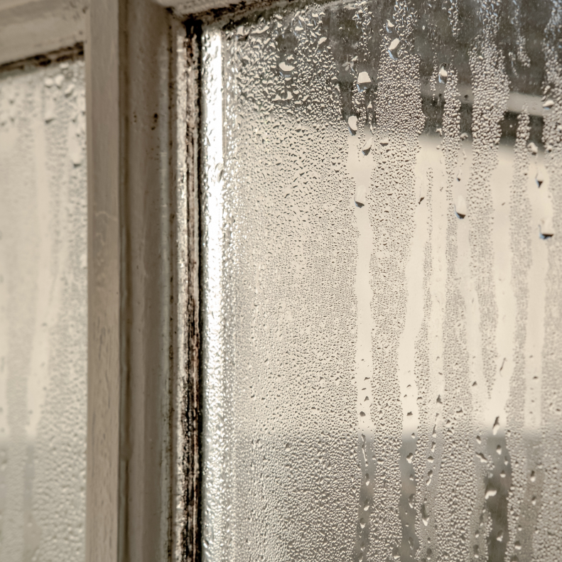 Condensation on windows